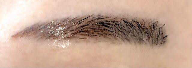 室内光で撮影した2回目施術後の右眉（やや濃いめで立体感あり）